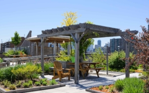 rooftop garden