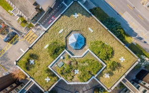 rooftop garden