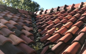 Slate and Tile Maintenance Program 2